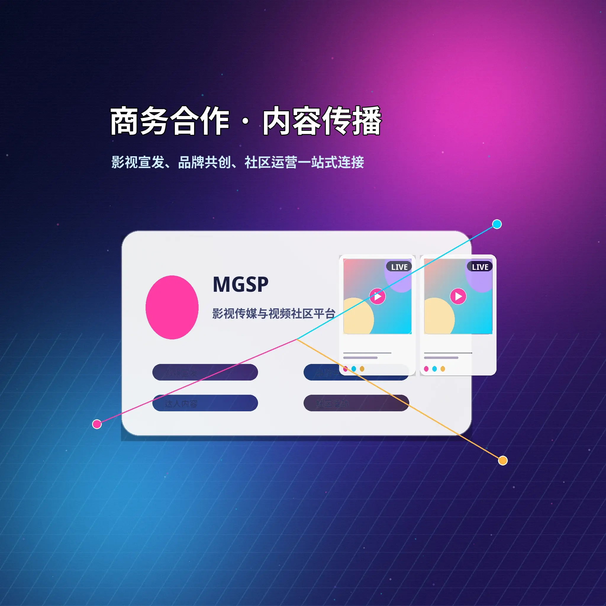 蘑菇视频联系与用户服务支持